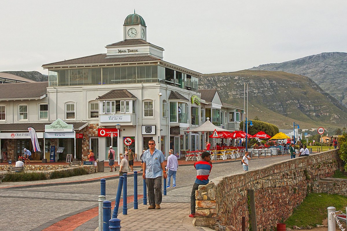 AvisSouthAfrica's tweet photo. Enjoy whale watching, and participate in a stopover cruise with Avis: https://t.co/LNW62YYhe7 #SABestRoads https://t.co/upvb2f9MFQ