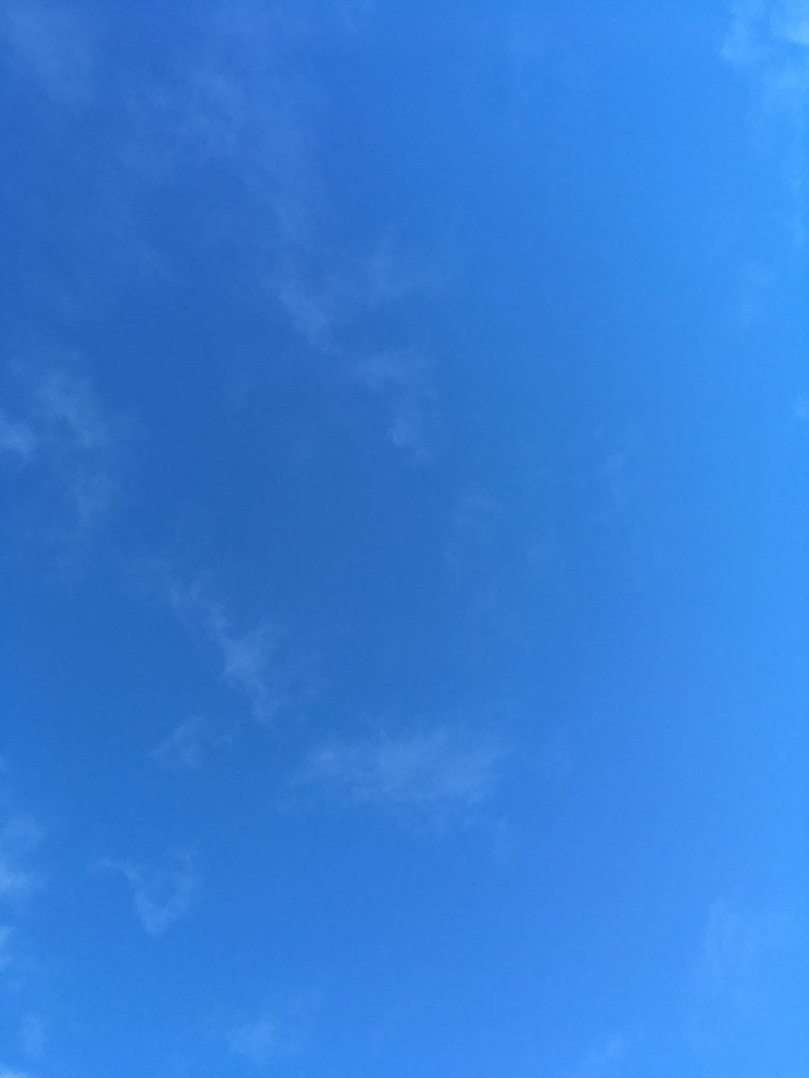 RBGE_TheTerrace's tweet photo. Blue skies and beautifully calm in the Garden, open until 4pm today. https://t.co/GzpOv8v0Gw