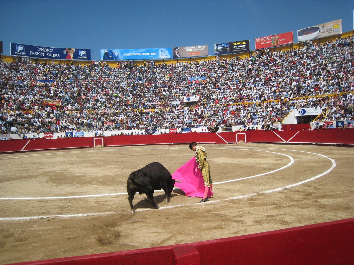 Tauromaquico's tweet photo. En Quito se torea! #QuitoTaurino https://t.co/zvZbf0NbwF