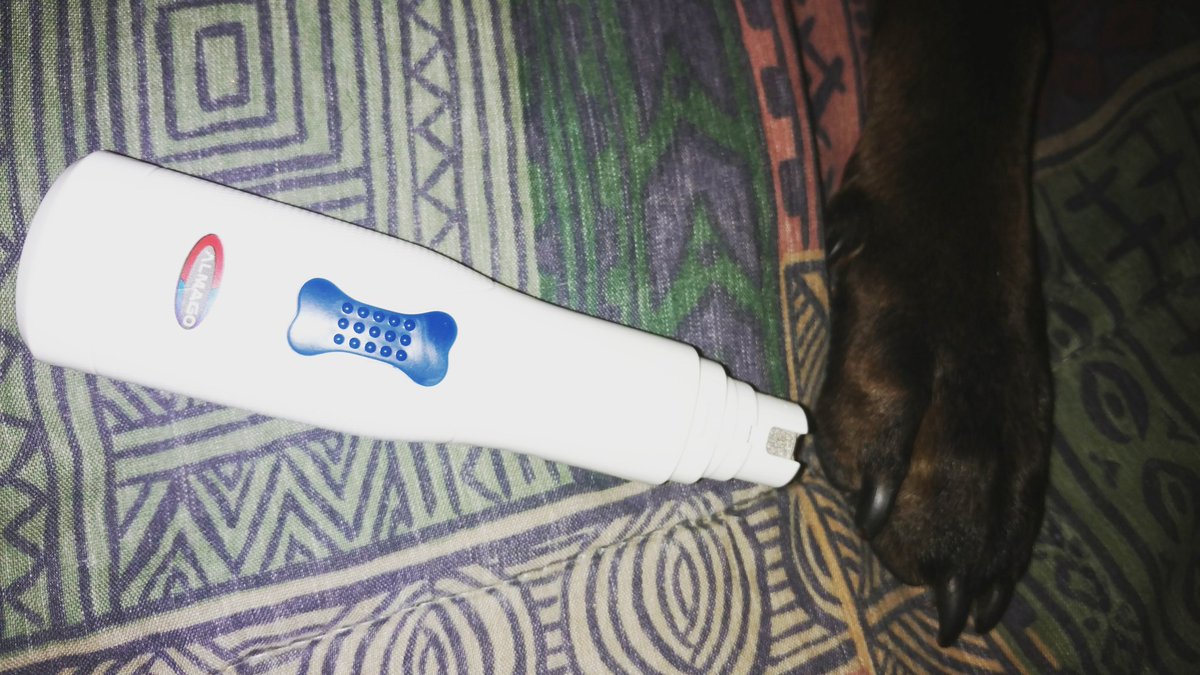 thepurplefoxe's tweet photo. Emma didn't love this nail trimmer but I did! I can safely trim her nails to a smooth finish.
#ALMAGOPETNAILGRINDER

https://t.co/QyFPXsGXik https://t.co/ejZhcy2vvy