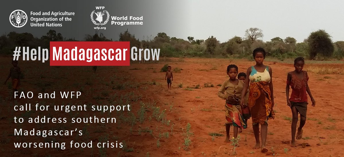 FSCluster's tweet photo. #UNFAO &amp; @WFP call for urgent support to address southern #Madagascar’s worsening food crisis #HelpMadagascarGrow https://t.co/VAEhstFtrh https://t.co/9CiLJfmlQv