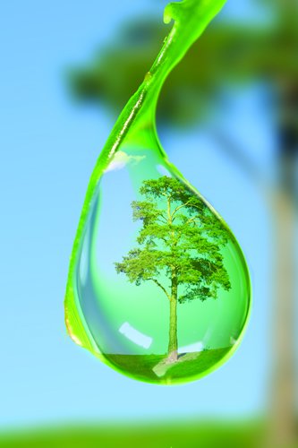 SureSetUK's tweet image. Treat for Trees... ow.ly/7FRK306Alws #NationalTreeWeek #Blog #Treesolutions #FridayFeeling