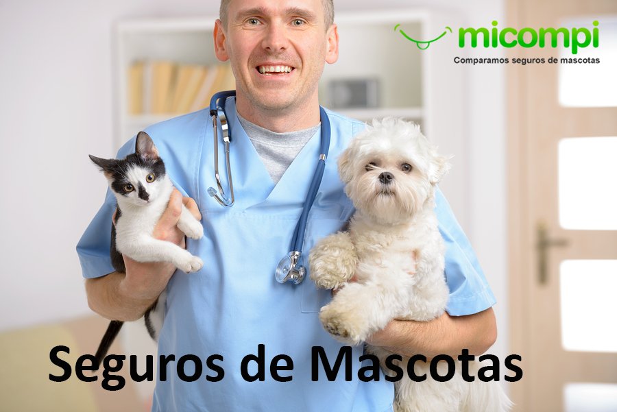 MicompiCom's tweet image. Si quieres uno, Compártelo con tus amigos
 👉 micompi.com 👈