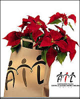 Buon #weekend da <a href="/dettotranoitrc/">Detto tra noi</a>. Torniamo #lunedì alle 10 con il #natale al #mercatoalbinelli, le #stelleAil e #unrespironelfuturo