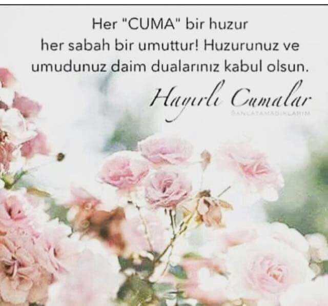 erkan2323's tweet photo. https://t.co/H1gGalmxos