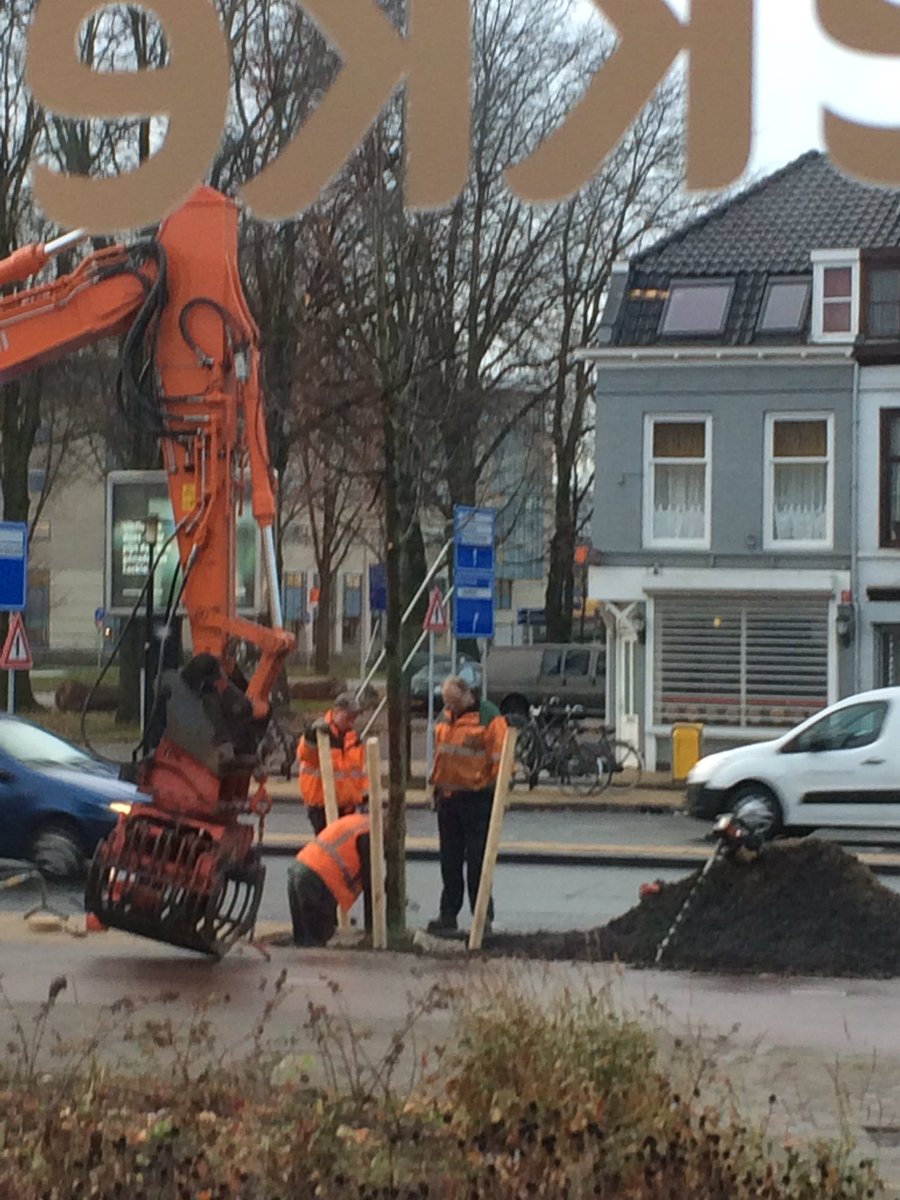 Eindelijk zijn de nieuwe bomen er! Zal nog wel even duren voor de ons schaduw geven..