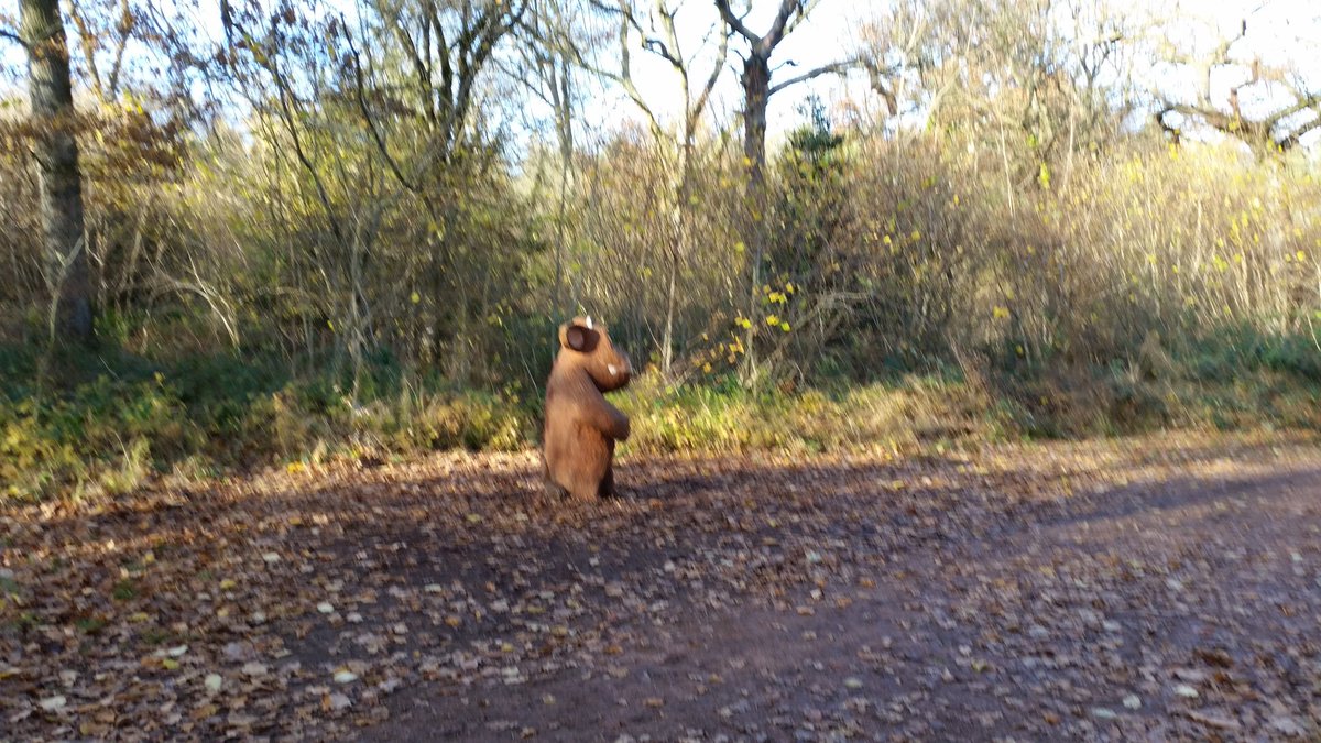 davidtidd4's tweet photo. Stayed at the Hare and Hounds Tetbury last Friday night. My daughter and son in law stayed as well.  Westonbirt Arboretum on Saturday. https://t.co/DXGakwWvUB