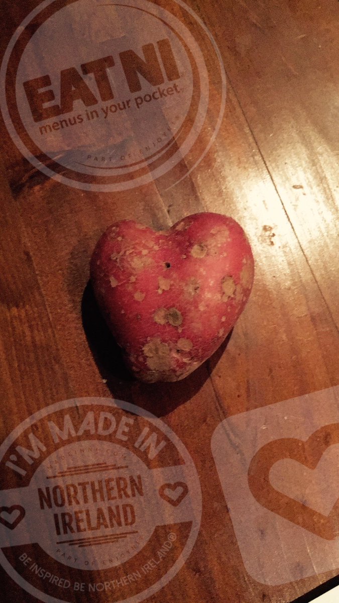 #ENJOYNI17 tweet media