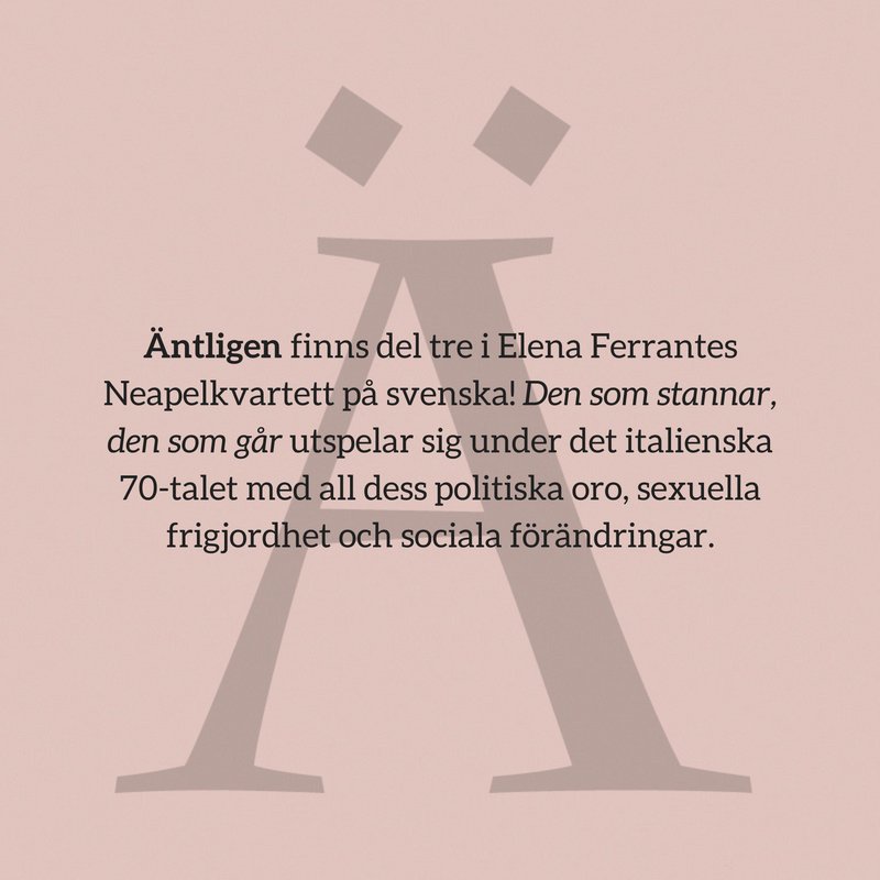 norstedts's tweet photo. Dyk ner i Elena Ferrantes värld i vårt A-Ö – bokstav för bokstav ända fram till släppet av del tre i Neapelkvartetten! #Ferrantefeber https://t.co/eeeieXb3ta