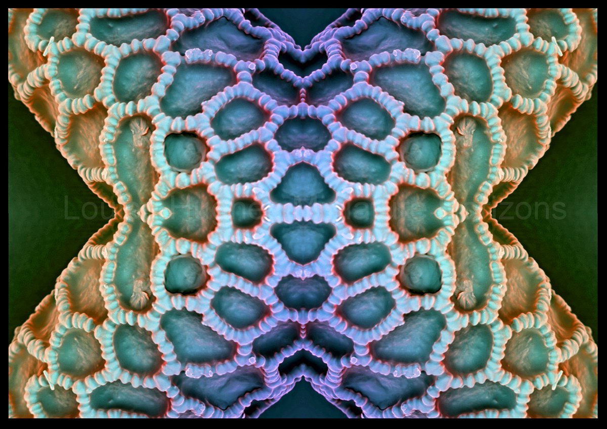 Because #fridayfeeling i am also going to post the abstract art stemming from today's #microscopyadvent of lily pollen. #sciart