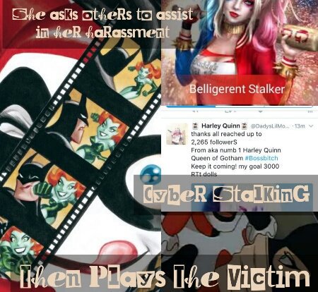 ChosenSonLex's tweet photo. #belligerentstalker Kitty is the victim here not Stalker Harley! #SupportTheFeline https://t.co/QhIDksQbck