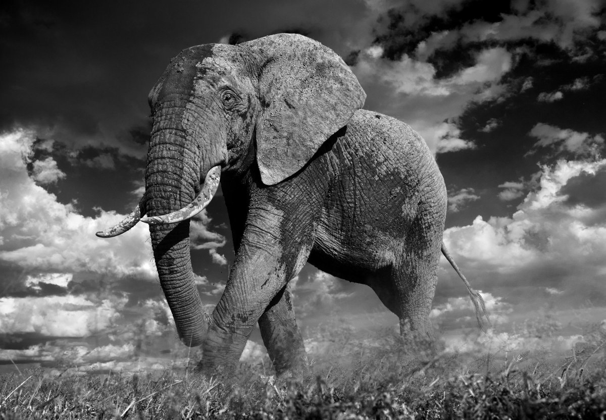 David_Yarrow's tweet photo. A big thank you @een for having me on their show. Take a look at a clip of the interview here...https://t.co/fB9nXjlNza https://t.co/gVTKfoiRvV