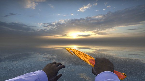 MechanismCSGO tweet picture