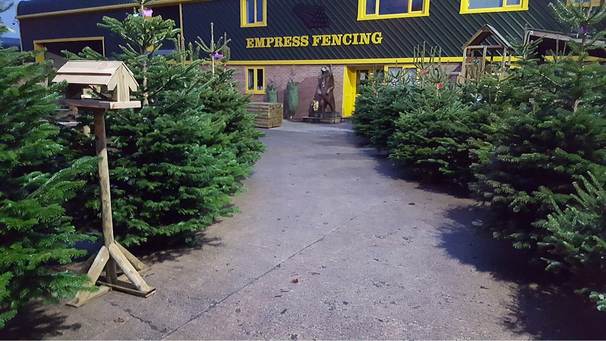 Lovely view of the yard this morning!