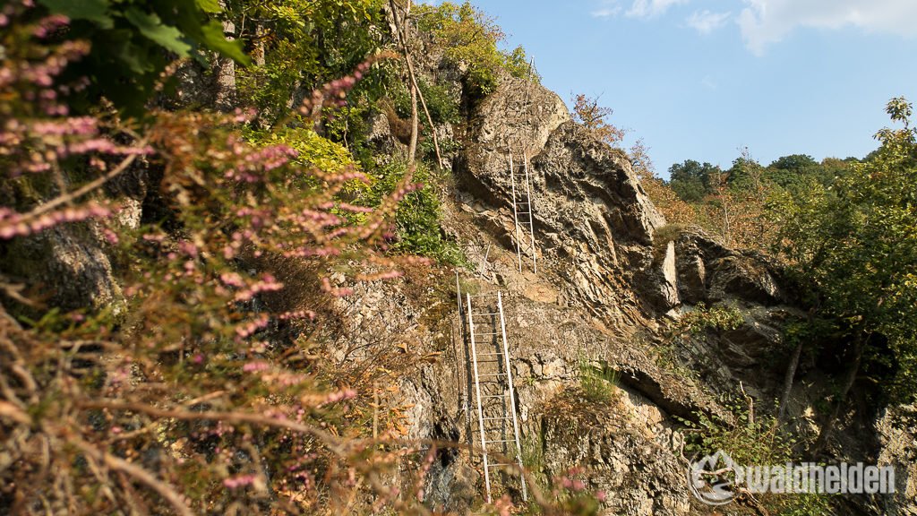 TopTrails of Germany tweet media