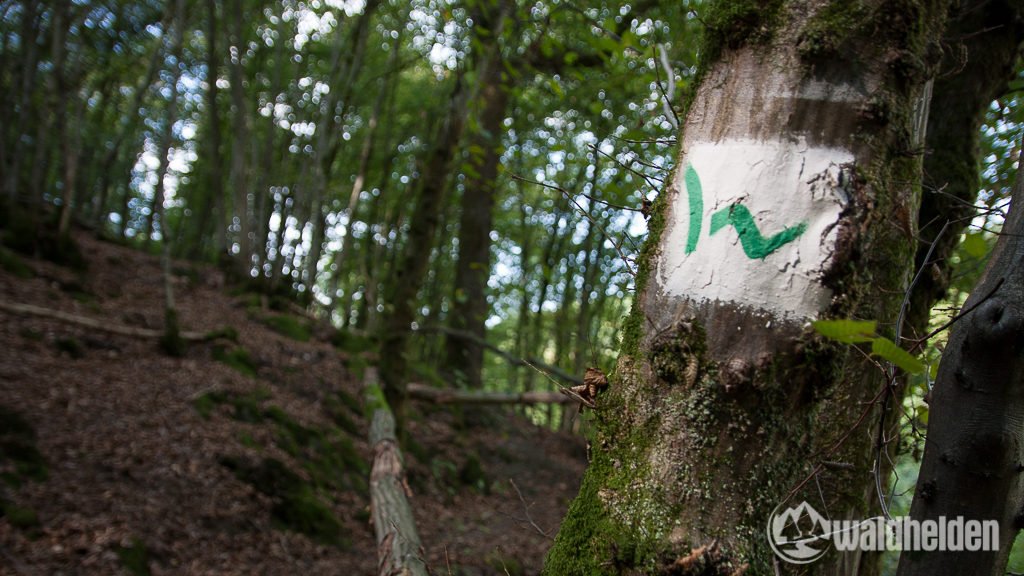 TopTrails of Germany tweet media
