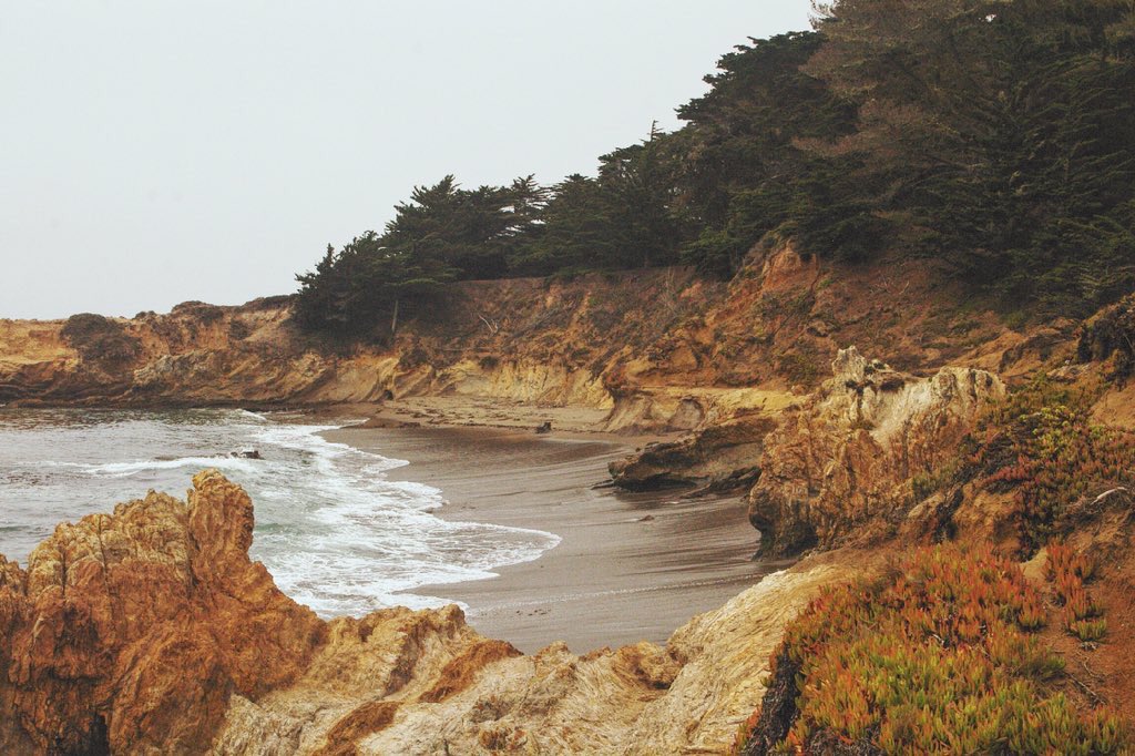 Amazingthingz2's tweet photo. San Simeon State Park
#wanderlustwednesday #naturelover #TravelTuesday https://t.co/K33k0hFFtr