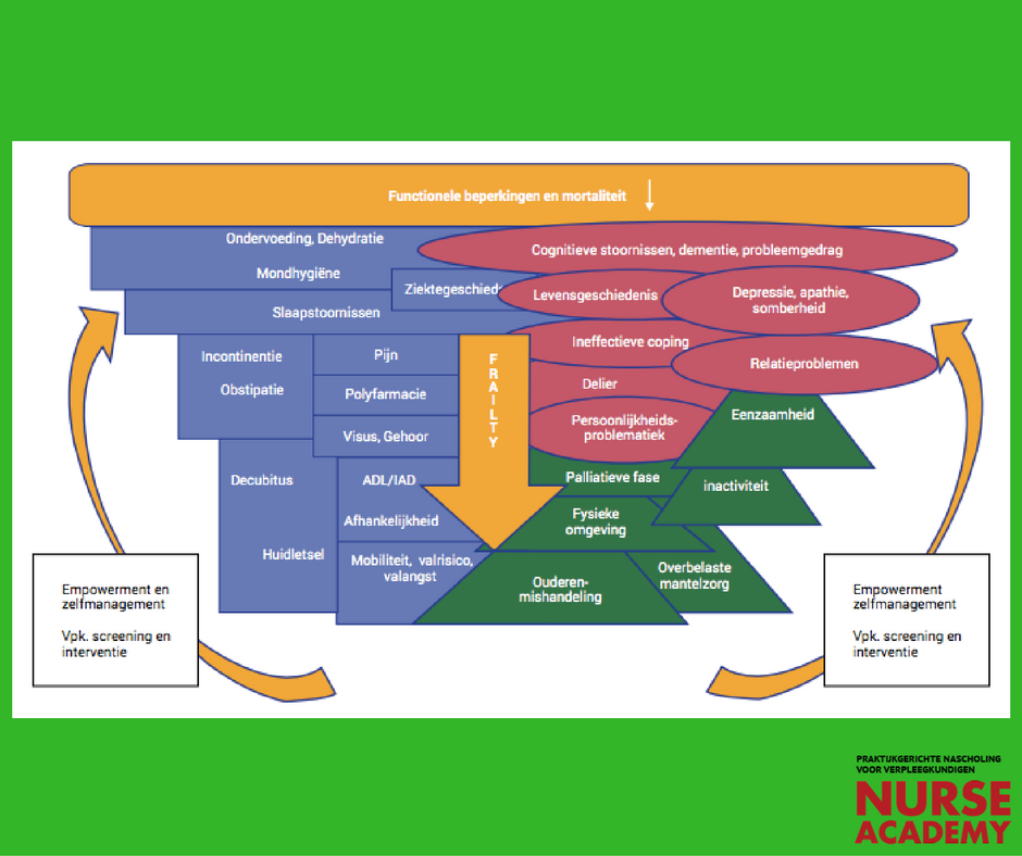 NurseAcademy's tweet photo. Ook in onze laatste Ouderen &amp; Thuiszorg een uitgebreidde leermodule over klinisch redeneren bij (kwetsbare) ouderen. #ouderenzorg #thuiszorg https://t.co/7cIjQnSF1N