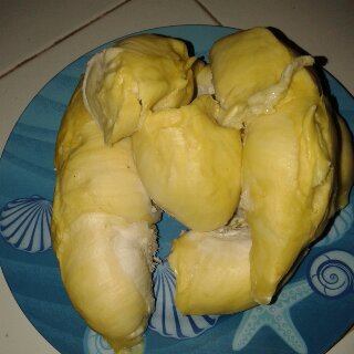 RonaMamora's tweet photo. Panen durian melak, monthong mah kalah #OrganicBotanicalGarden @DP_BISTRO https://t.co/KJs4VSdhfI