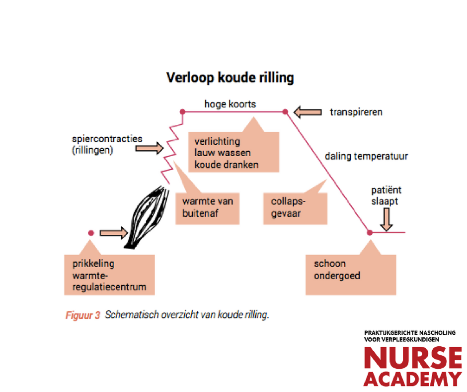 NurseAcademy's tweet photo. Zo ziet een koude rilling eruit! https://t.co/Orx1pajPtn