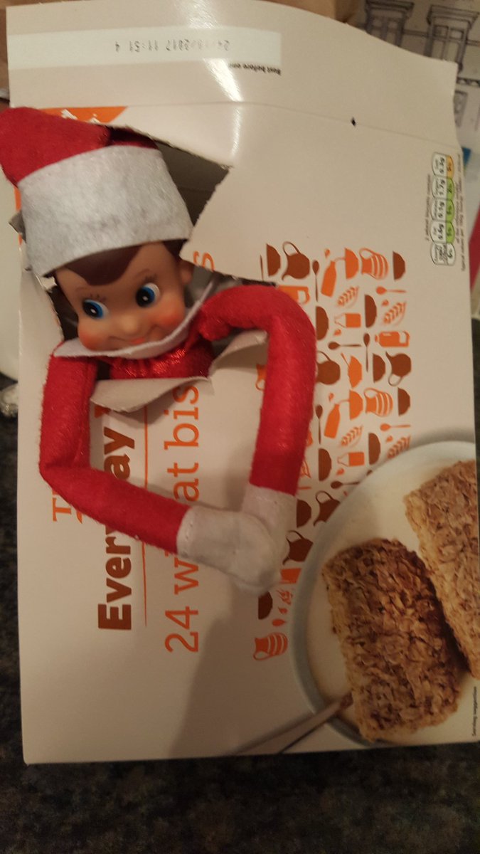 <a href="/MissRyanRog/">Miss Ryan</a> Jinx tried getting his own breakfast today