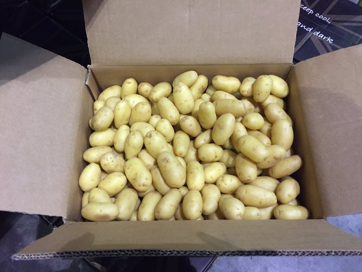 T Dobsons produce (t_dobsons) Twitter