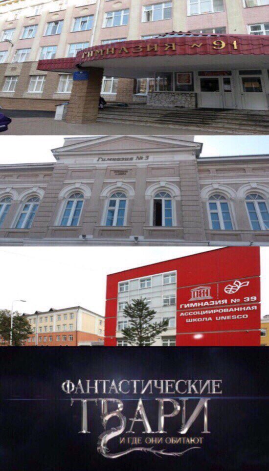 mmmanikhova's tweet image. Уже заезженная тема, но все равно смешно ..