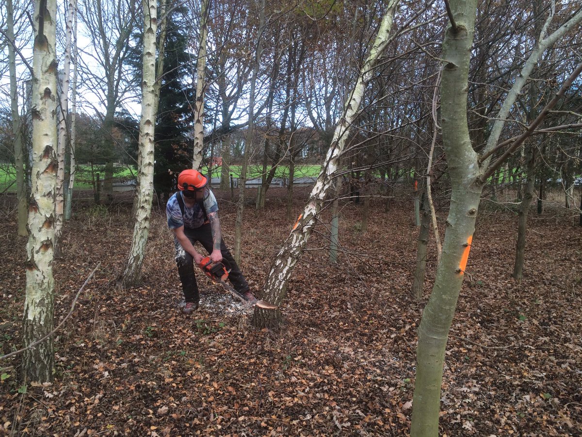 LeedsCoppice's tweet photo. LCW selective felling in private woods today. We provide woodland management plans and contract fell too #wood https://t.co/alND52c1k3