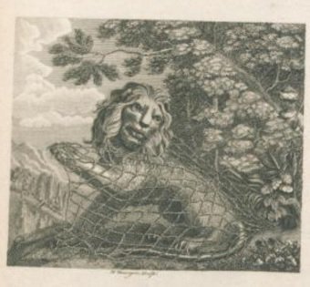 Shana_V_H's tweet photo. 1714: The Lion King avant la lettre - VS - 1793: #notalion ... #stageproject @bcubantwerpen https://t.co/zv1ZC81LSS