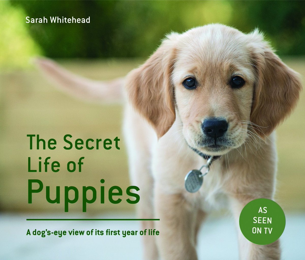 PavilionBooks's tweet photo. #FridayFollow @C5Puppies #SecretLifeofPuppies Series starts Monday! We've got 3 copies of TV book to #WIN RT/FOLLOW @C5Puppies by 5pm today! https://t.co/m7kLZQ922o