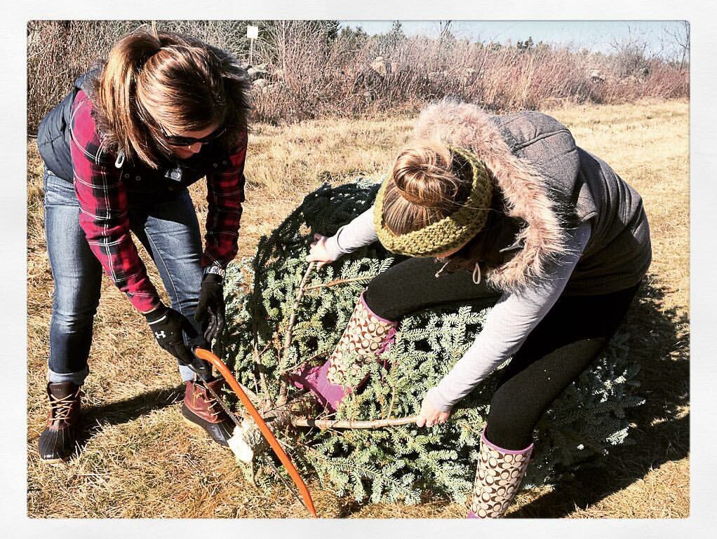mueller419's tweet photo. Every year we cut our own tree. #wearetarget #girlpower #sundaytraditions https://t.co/JPuMbNjOkl