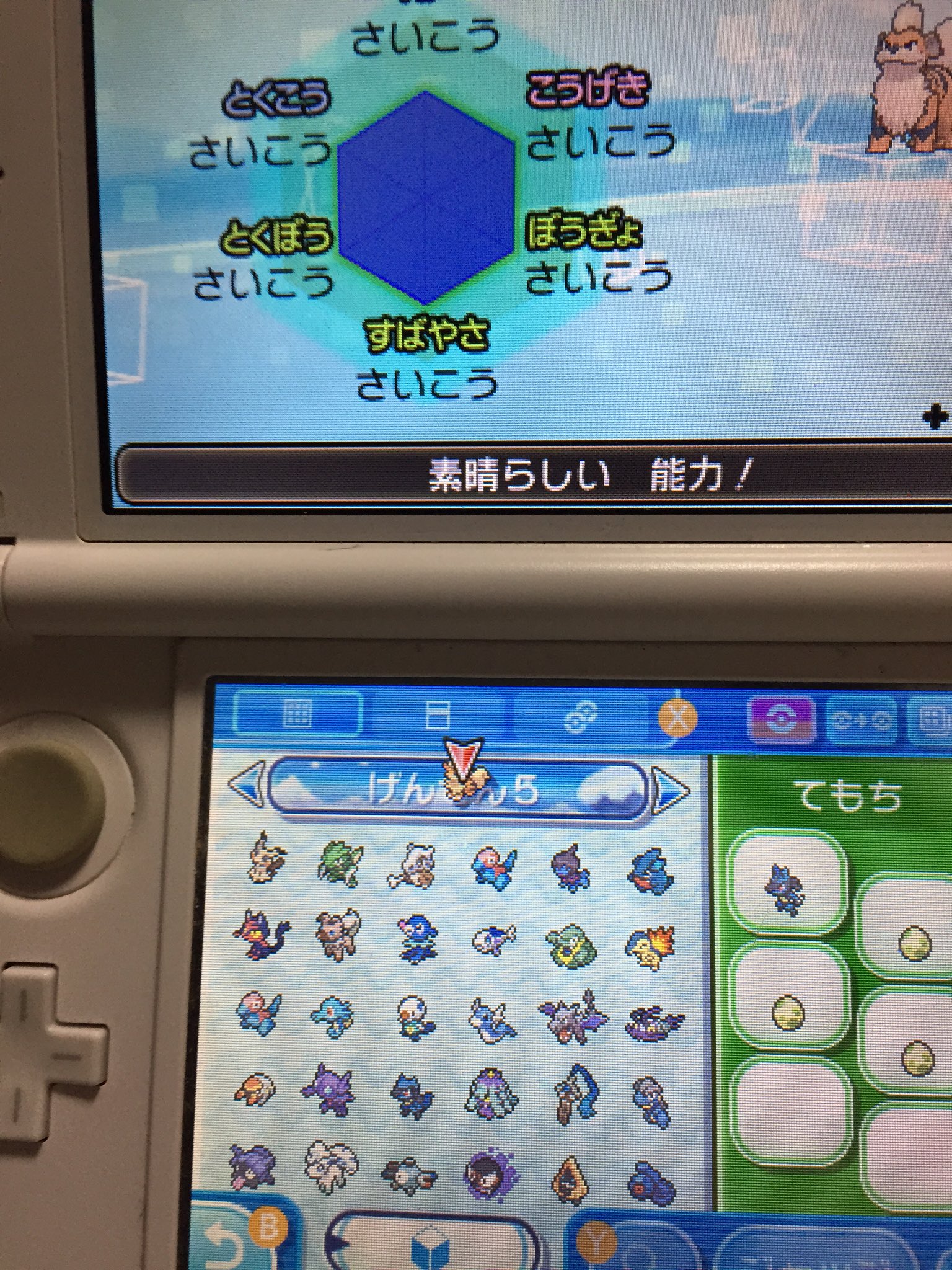 ミニりょう ポケモン垢 Pokemon Twitter