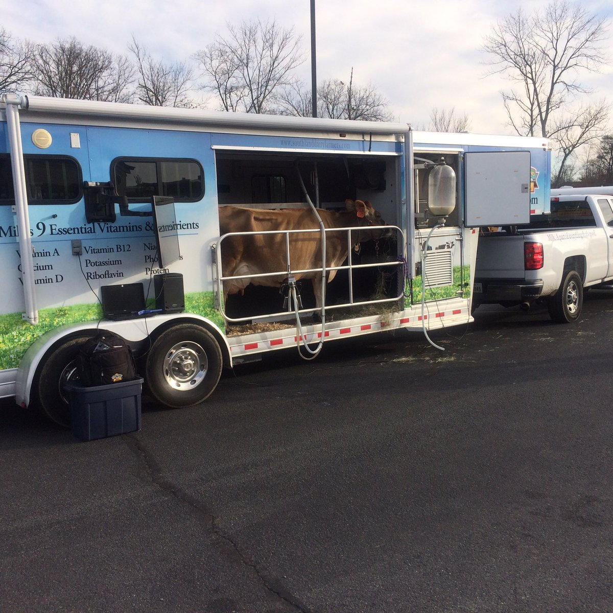 Ms. Cady's Class tweet media