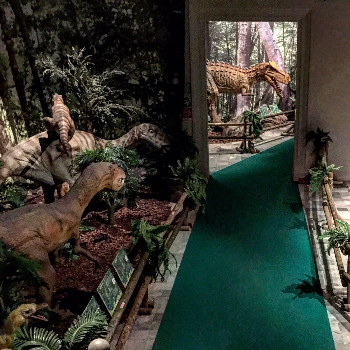 GuidaTorino's tweet photo. Ogni domenica alle 10.30 vi aspettiamo per accompagnarvi in visita alla mostra #dinolive https://t.co/baUuQG8Dcq