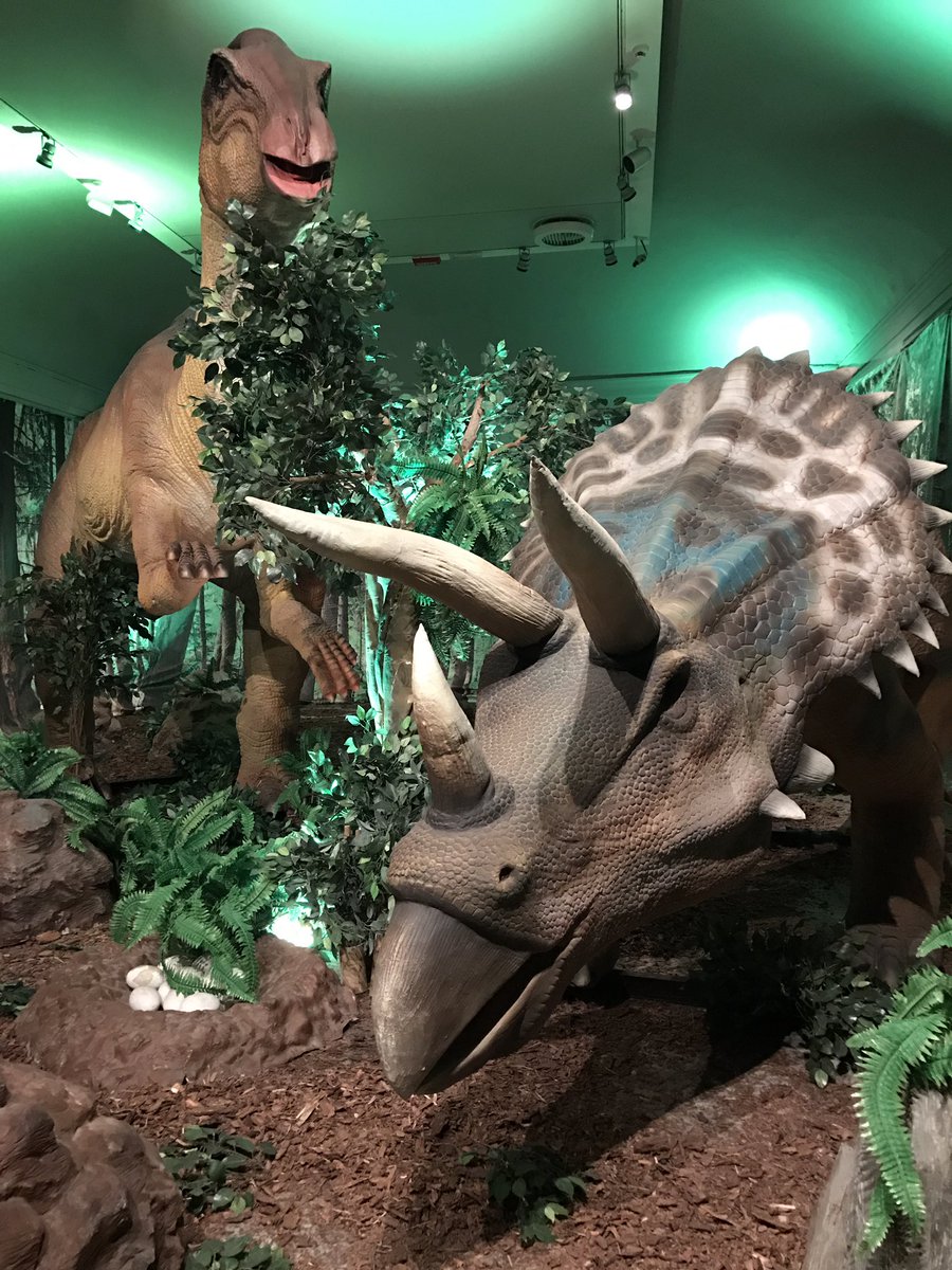 GuidaTorino's tweet photo. Ogni domenica alle 10.30 vi aspettiamo per accompagnarvi in visita alla mostra #dinolive https://t.co/baUuQG8Dcq