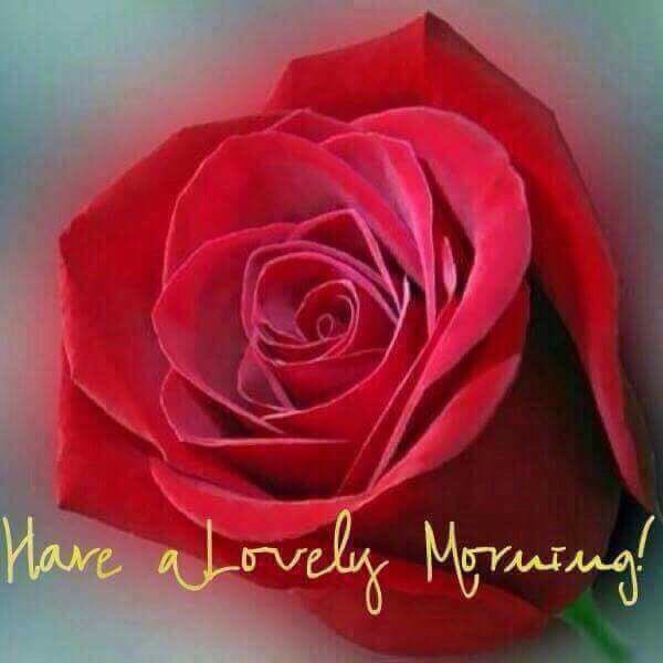 fazel638's tweet photo. @SS99957971 https://t.co/vZHcOrizcR