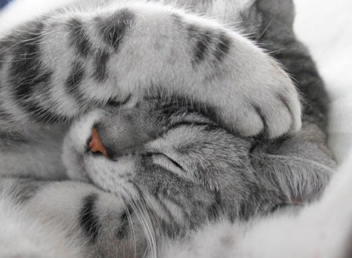 McFunkypants's tweet image. One Game A Month Challenge (#1gam) just hit month 48.

4 years!

SHOULD I DO 5?

OR IS IT TIME TO MOVE ON?

#gamedev onegameamonth.com