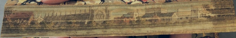 @Codicologist @bob_maclean see a close up of that #foreedge here bit.ly/2fP3pm5 thanks @kerrycurator for reminding us of this set
