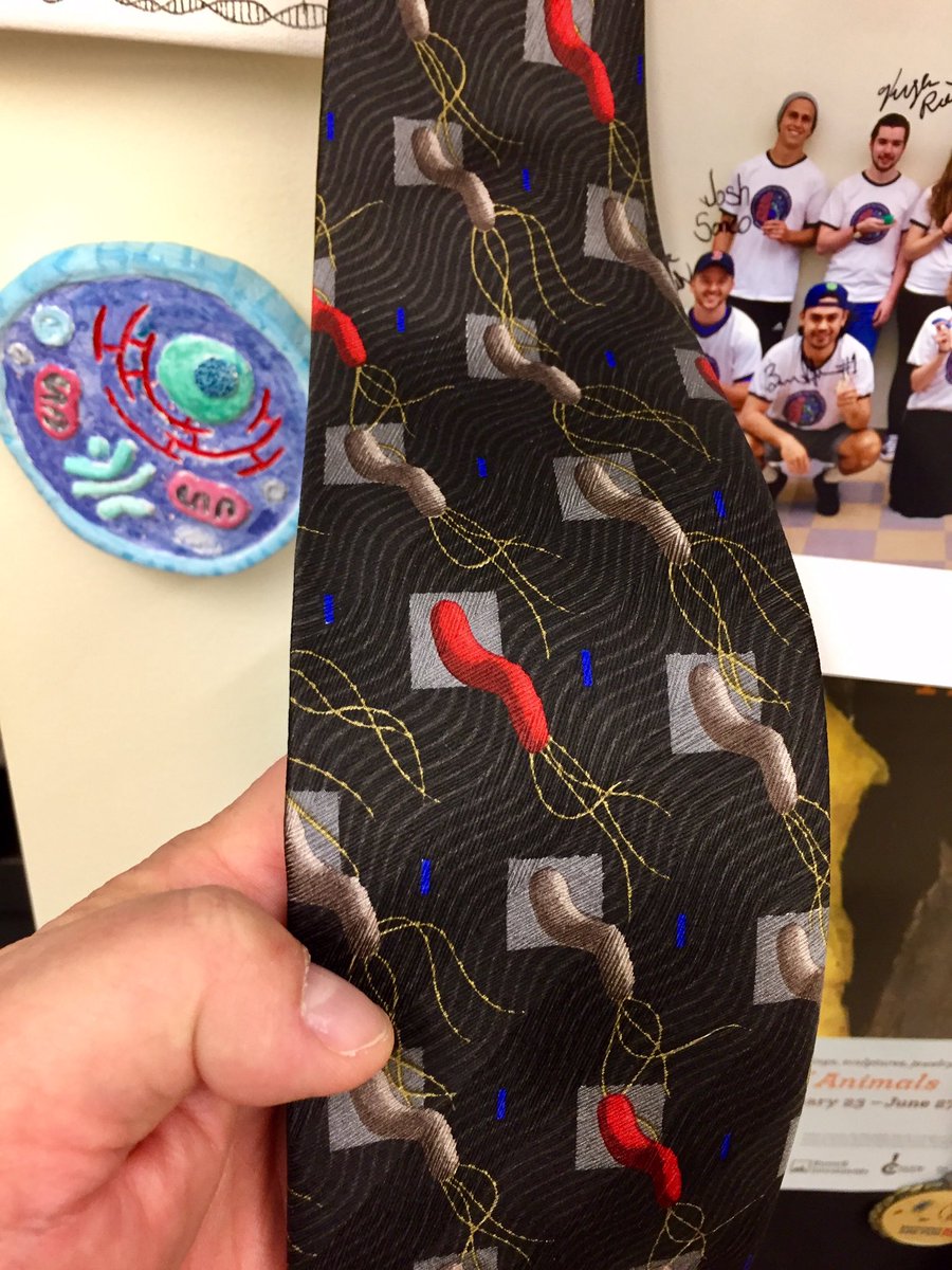markowenmartin's tweet photo. @PatSchloss You should wear a #MicrobiallyAppropriate tie! I have my #Bio350 micronauts sign one every year as a memento. @univpugetsound https://t.co/B1K6MMiyA7