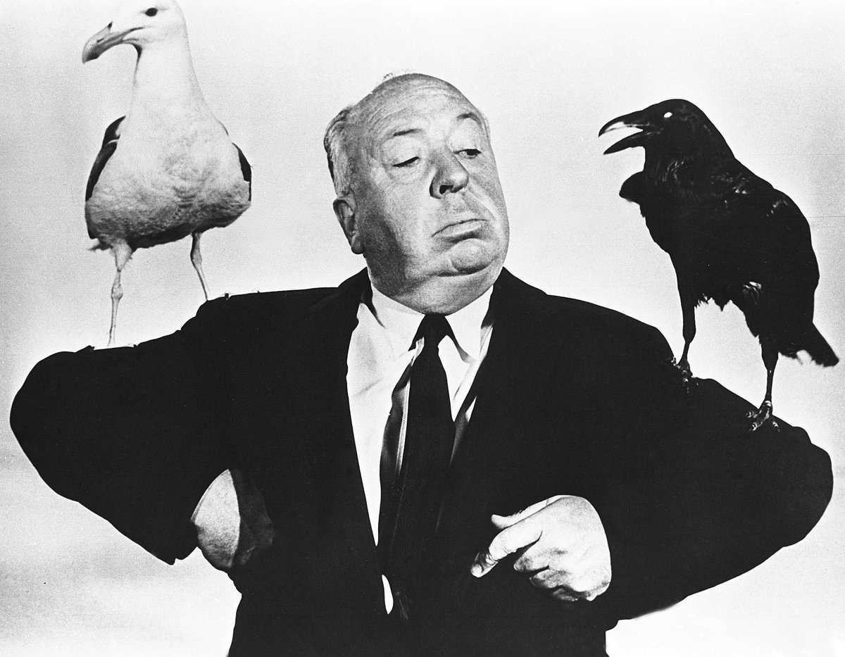 Gemeente Den Bosch krijgt nieuw cultuurfonds: inwoners kunnen zelf met initiatieven komen #denbosch bit.ly/2gPB0JP