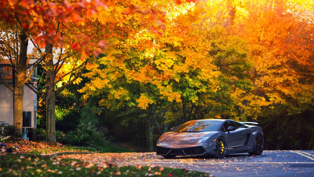 TLC_Cars's tweet photo. TLC Cars #Instagram - Full Post at 👉🏻 https://t.co/hjCCx7zFki https://t.co/YHCxmVqhDt