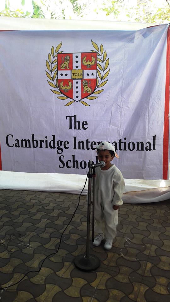 TCIS_IGCSE's tweet image. #Domestic #animals is one of the top #favourite topics of these lil&apos; #kids. In our #Speakaboo #activity