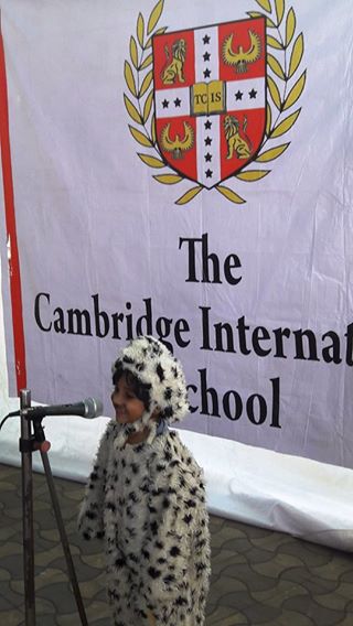 TCIS_IGCSE's tweet image. #Domestic #animals is one of the top #favourite topics of these lil&apos; #kids. In our #Speakaboo #activity