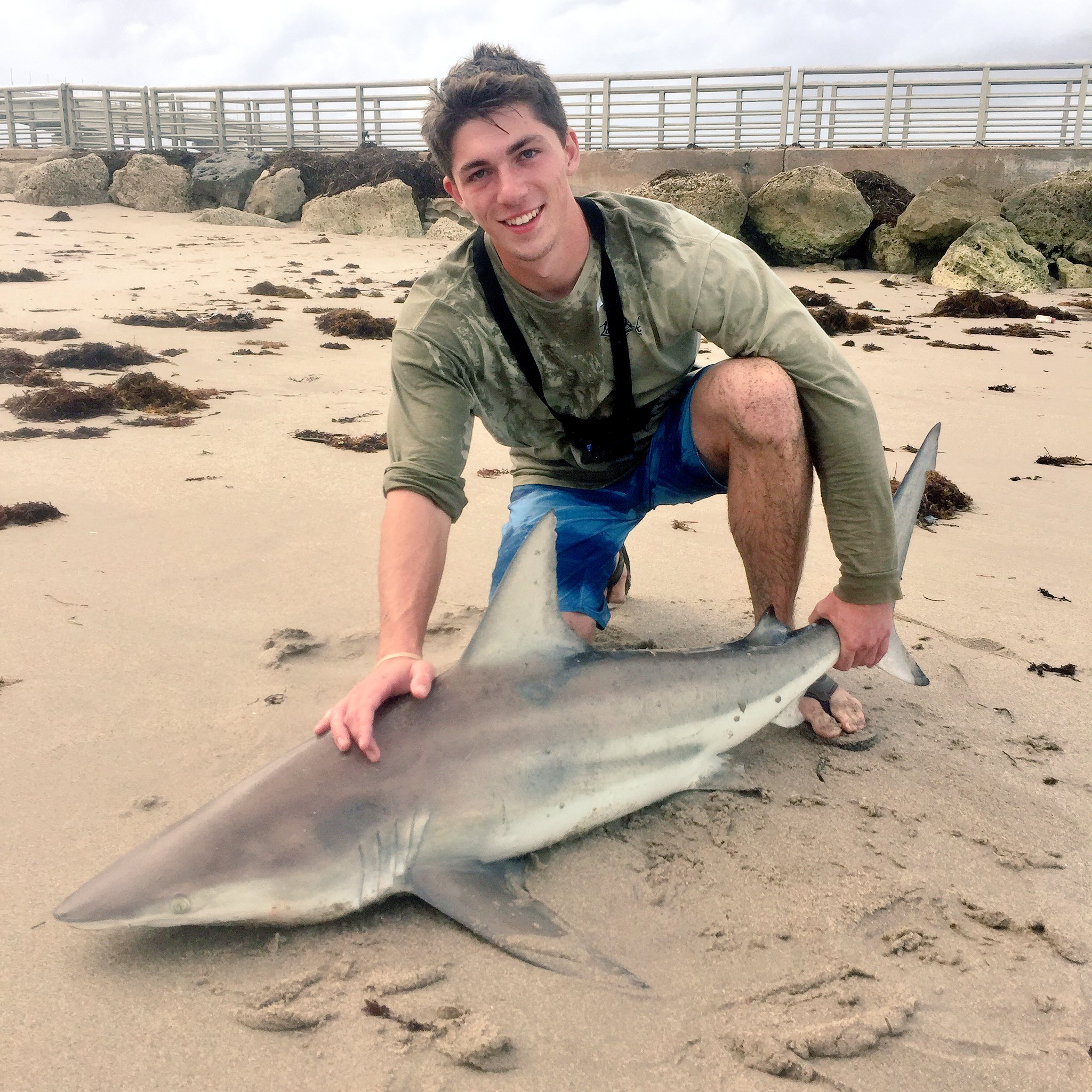 BlacktipH on X: First blacktip shark for @FishingTheMW! He's a natural  shark fisherman! #blacktiph #shark #fishing  / X