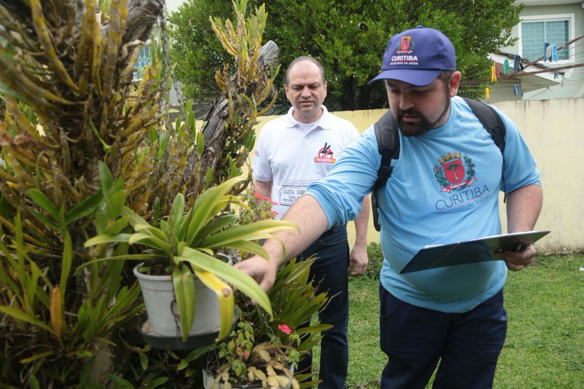 Ver imagem no Twitter