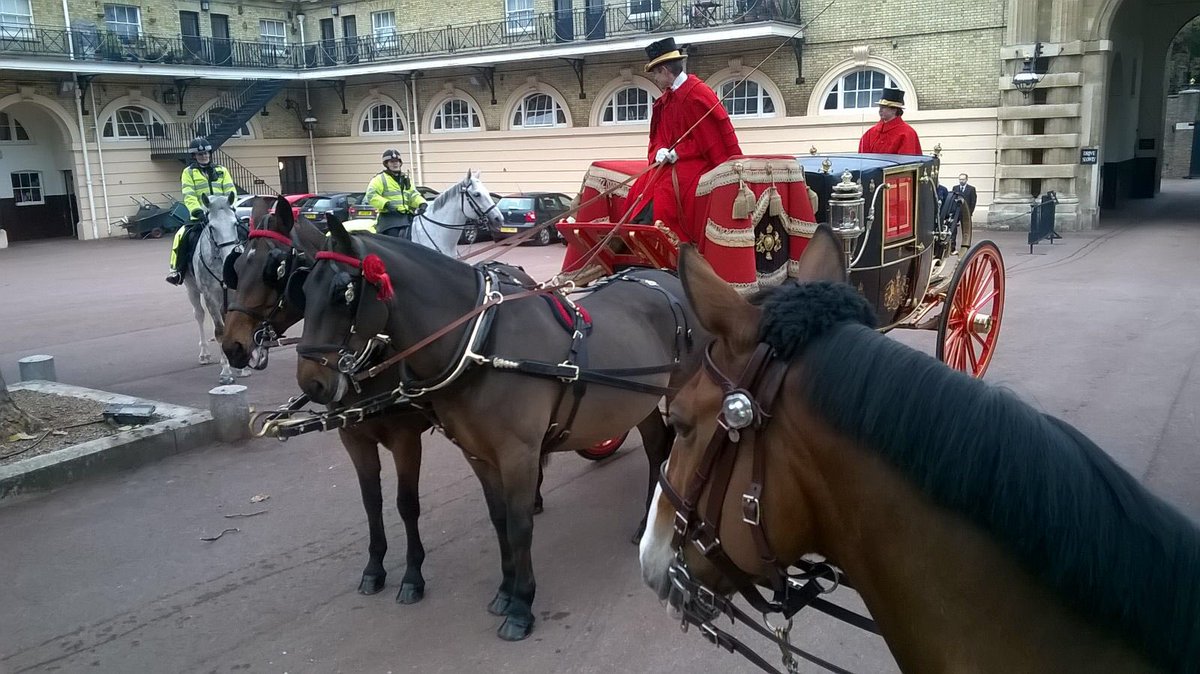 #PoliceHorse Nigel, Quartz & Rasputin on their best behaviour in #BuckinghamPalace, getting ready to escort the carriage🐎🐎#LettersOfCredence