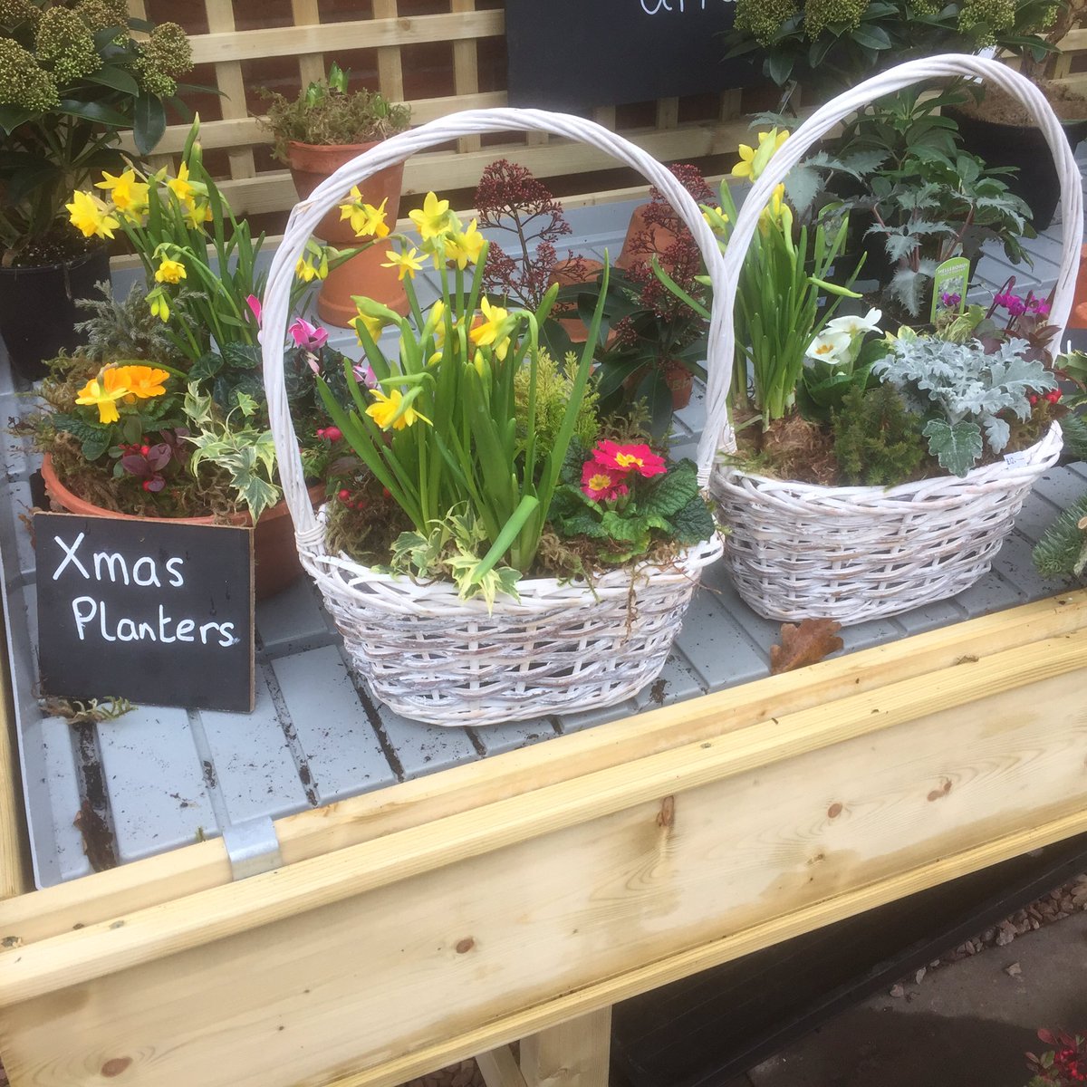 Hortyphil's tweet photo. Looking for an ideal Christmas gift why not pop in there's a fantastic range#linknurseries https://t.co/iU8dS5Z6Hd