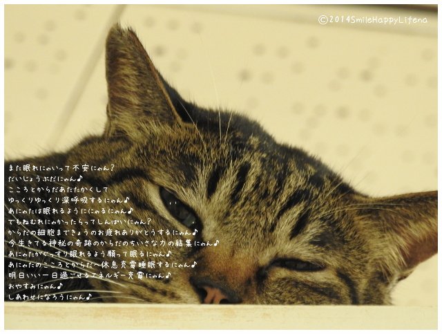 Twitterで画像を見る