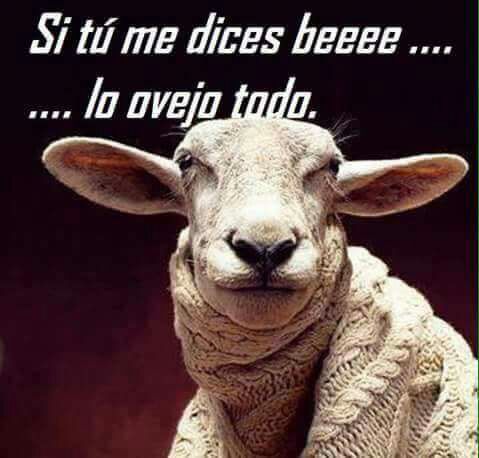 Si tu me dices beeee....