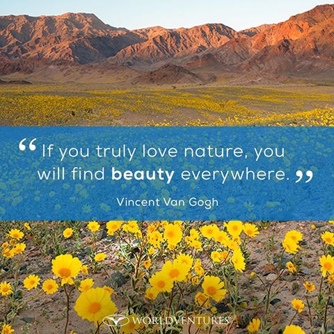 Nice words from Sir Vincent van Gogh..
 worldventures.biz